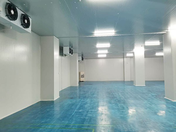 建個(gè)1000平方米的冷庫要多少錢？